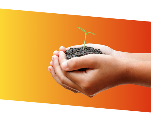 Child's hand holding small plant sprout with yellow to blue gradient background.